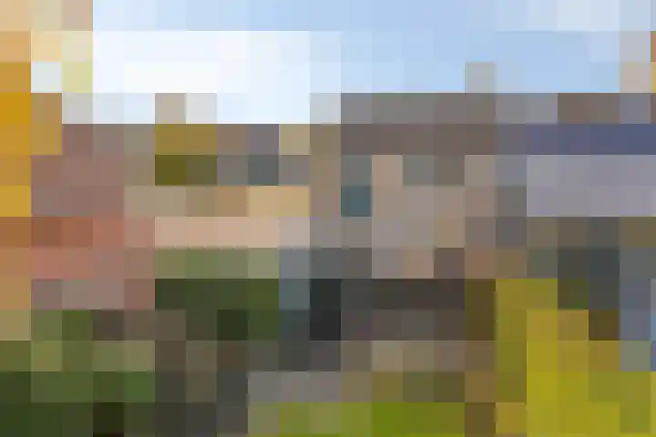 Burgemeester Baaslaan 34 Middelburg thumbnail 36