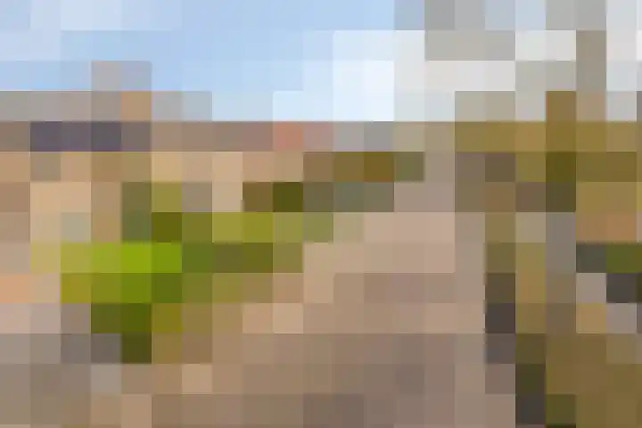 Burgemeester Baaslaan 34 Middelburg thumbnail 8