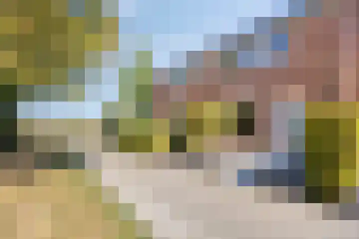 Burgemeester Baasstraat 24 Sint-Annaland thumbnail 4