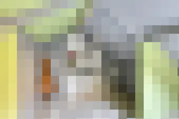 Burgemeester Baasstraat 9 Sint-Annaland thumbnail 27