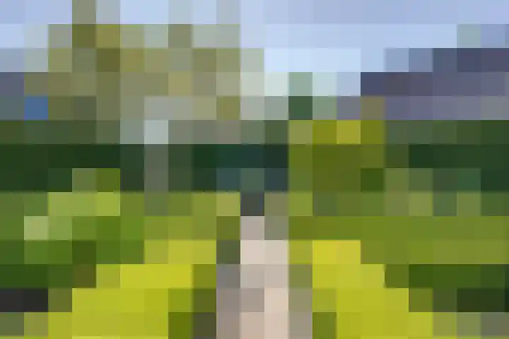 Burgemeester Baetenspark 9 Prinsenbeek thumbnail 42