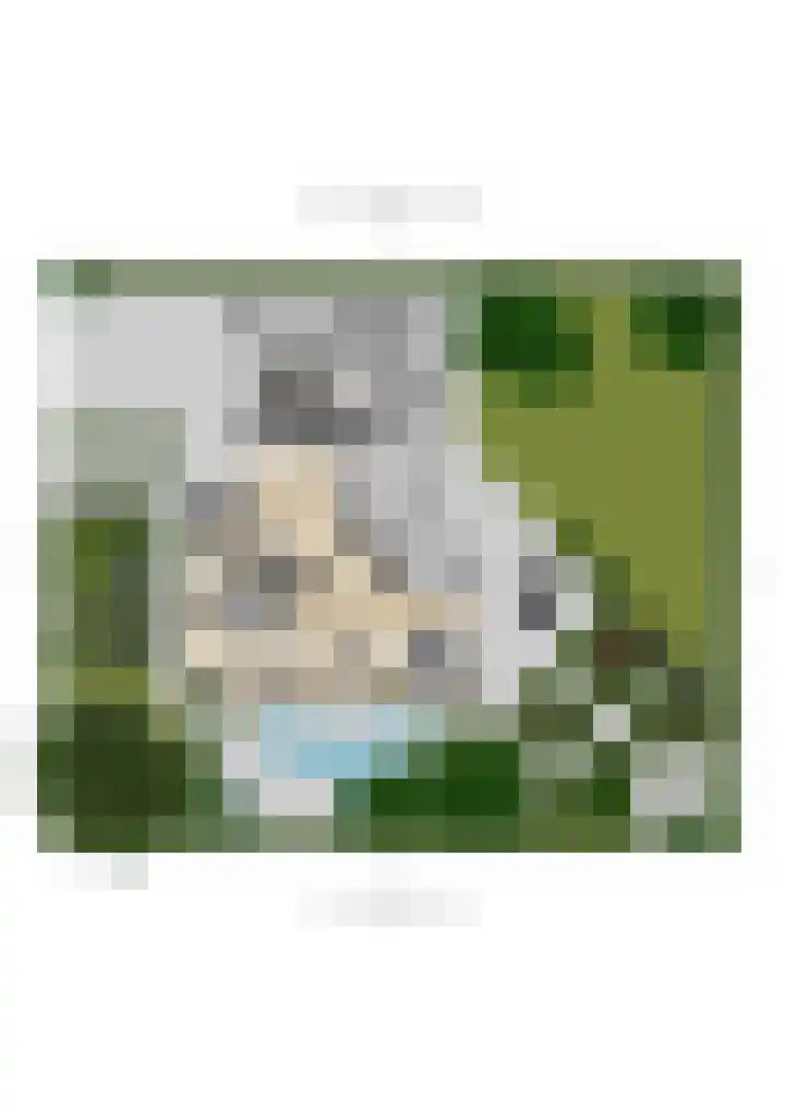 Burgemeester Baetenspark 9 Prinsenbeek thumbnail 54