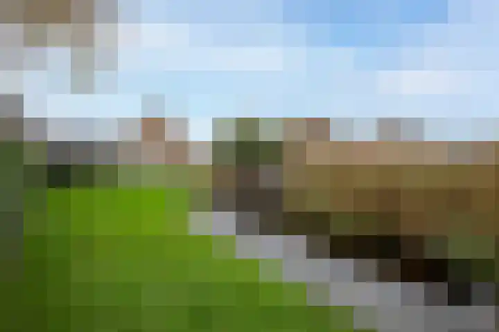 Burgemeester Bakhuizenlaan 26 Leimuiden thumbnail 5