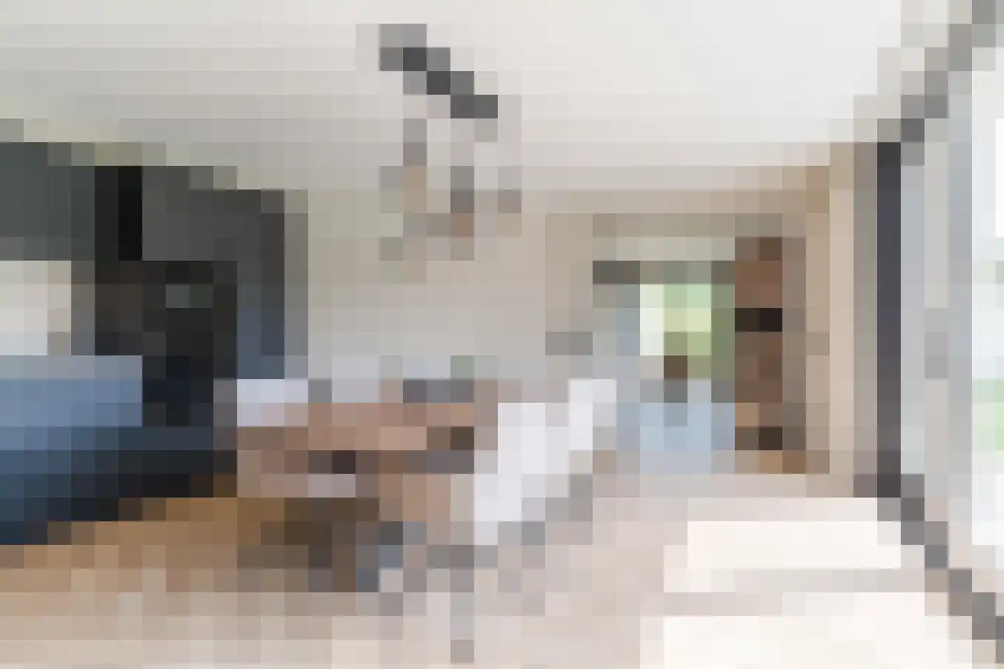 Burgemeester Ballingsweg 2 Hulten thumbnail 25