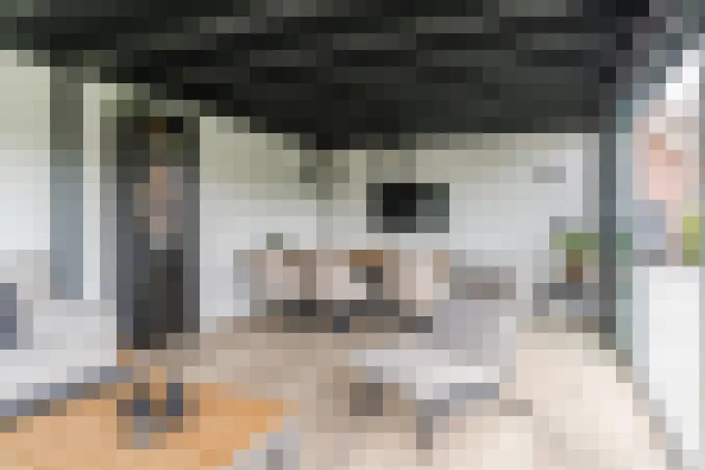 Burgemeester Ballingsweg 2 Hulten thumbnail 43