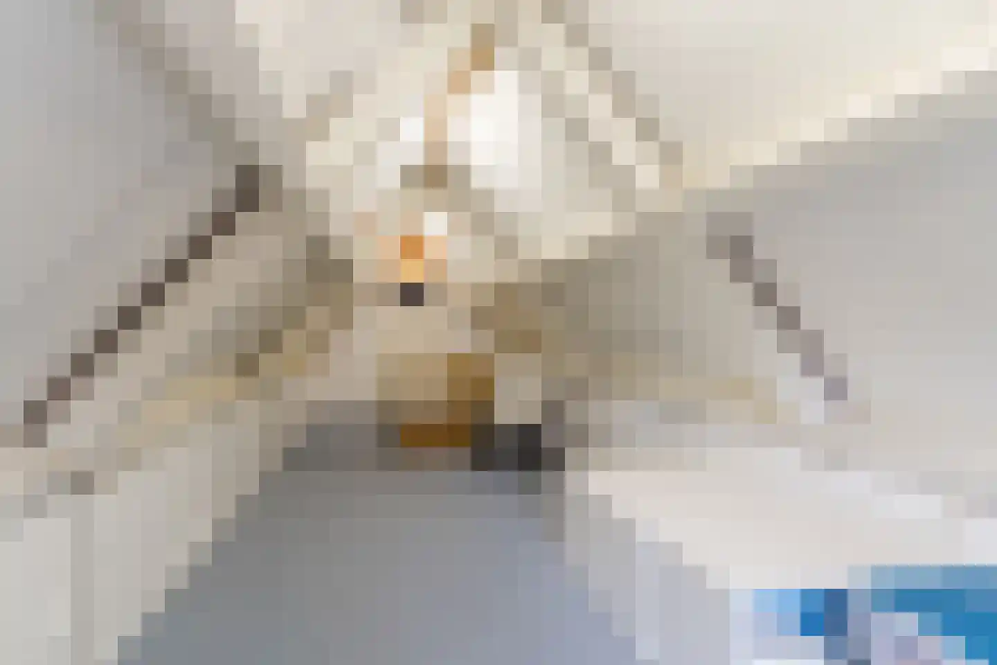 Burgemeester Ballingsweg 2 Hulten thumbnail 69