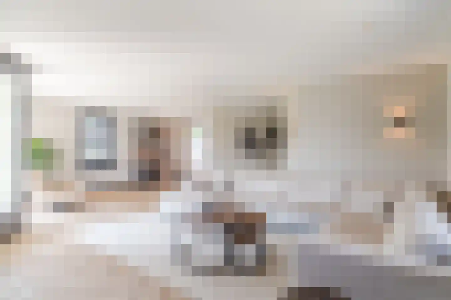 Burgemeester Ballingsweg 2 Hulten thumbnail 7