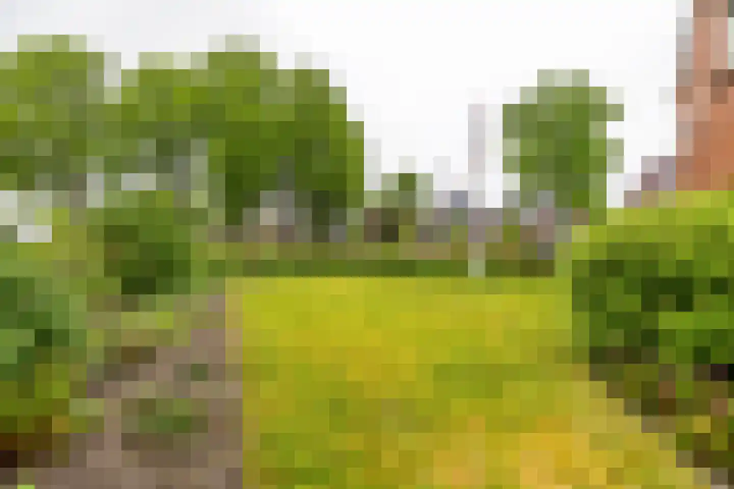 Burgemeester Bartelsstr 1 Hoogezand thumbnail 46
