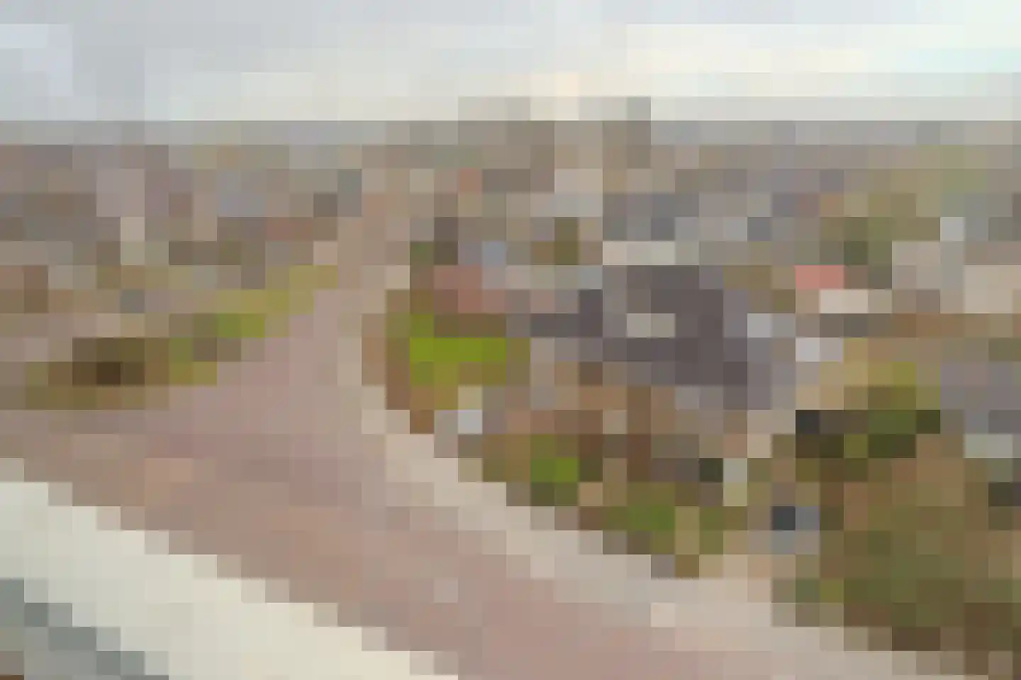 Burgemeester Bartelsstr 2 b Hoogezand thumbnail 48