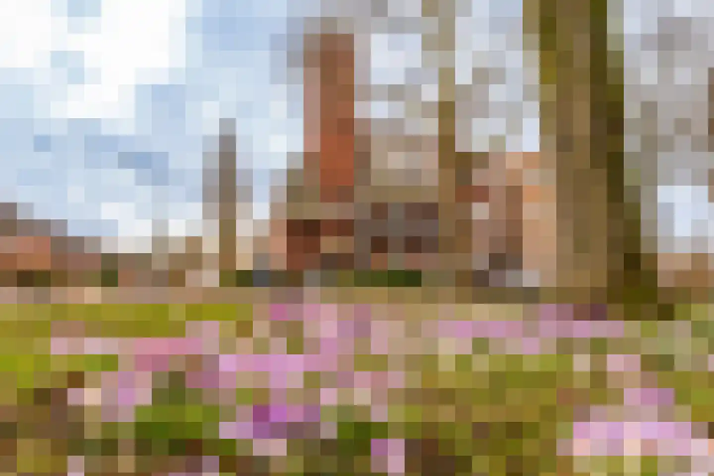 Burgemeester Bartelsstr 2 b Hoogezand thumbnail 5