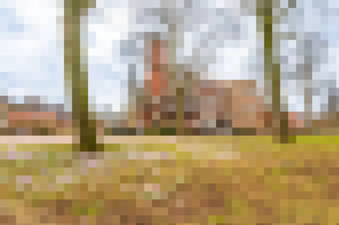Burgemeester Bartelsstr 2 b Hoogezand thumbnail 7