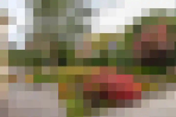 Burgemeester Bartelsstr 9 Hoogezand thumbnail 39