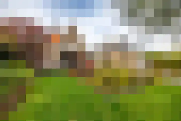 Burgemeester Bartelsstr 9 Hoogezand thumbnail 4