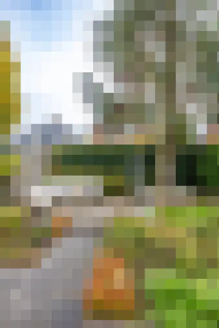 Burgemeester Bartelsstr 9 Hoogezand thumbnail 42