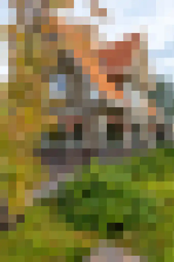 Burgemeester Bartelsstr 9 Hoogezand thumbnail 5