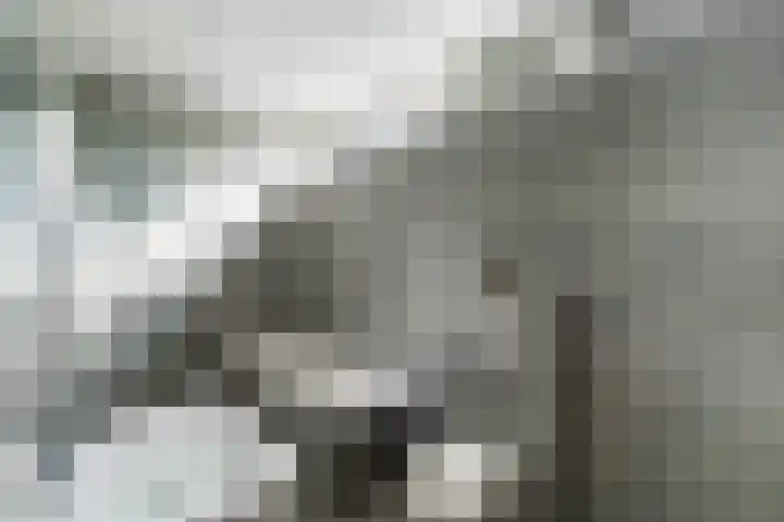 Burgemeester Baumannlaan 115 D Rotterdam thumbnail 8