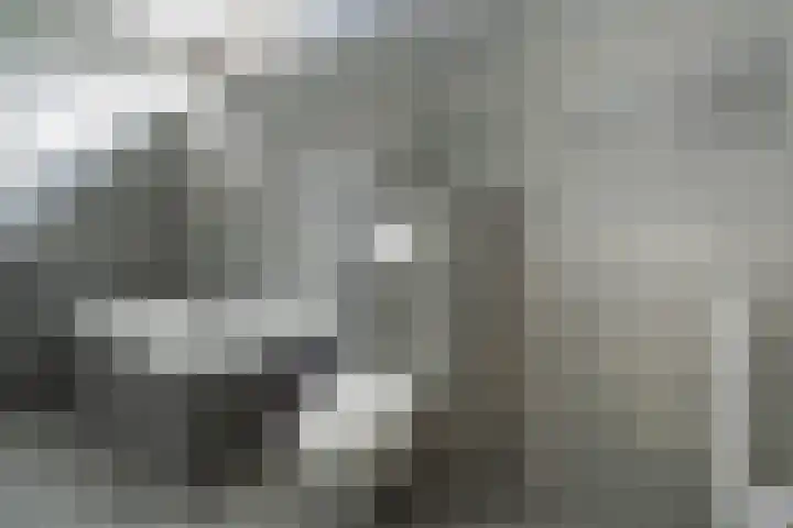 Burgemeester Baumannlaan 115 D Rotterdam thumbnail 9