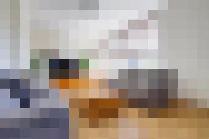 Burgemeester Baumannlaan 160 C Rotterdam thumbnail 4