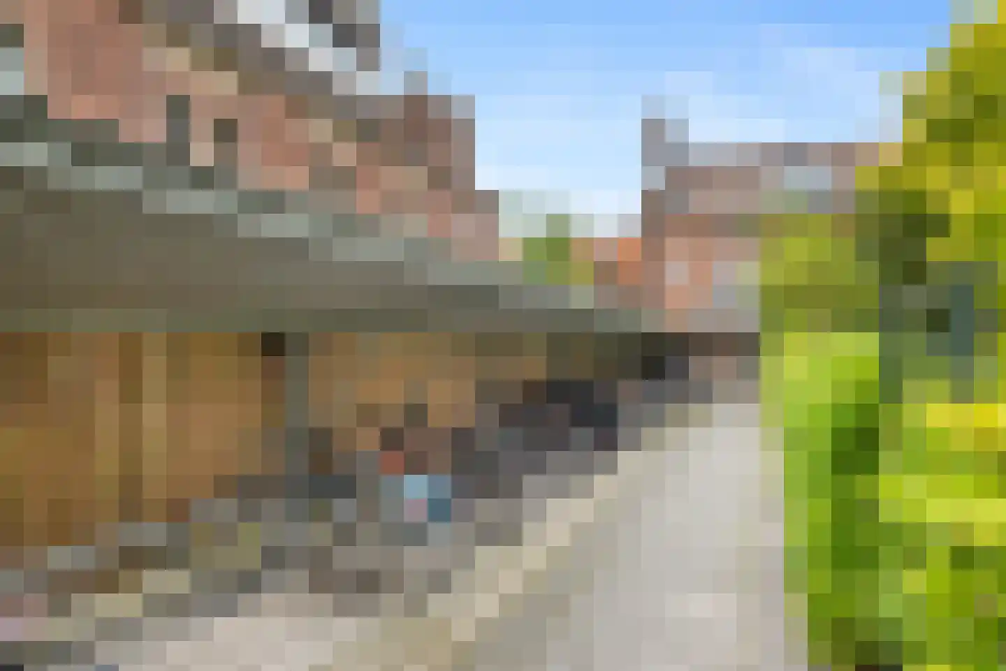Burgemeester Baumannlaan 173 C Rotterdam thumbnail 25