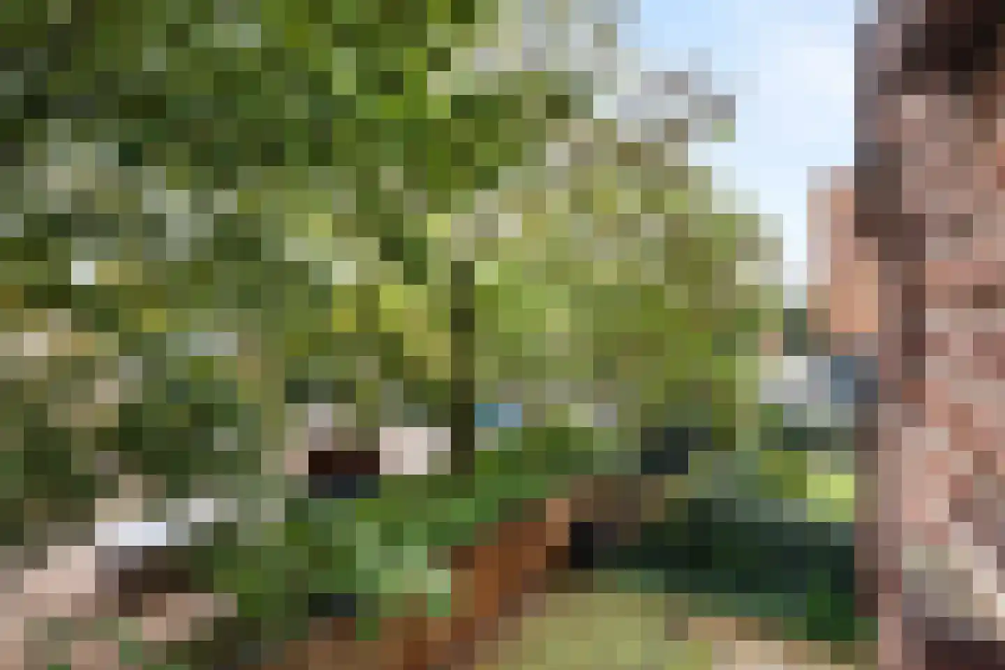 Burgemeester Baumannlaan 173 E Rotterdam thumbnail 28