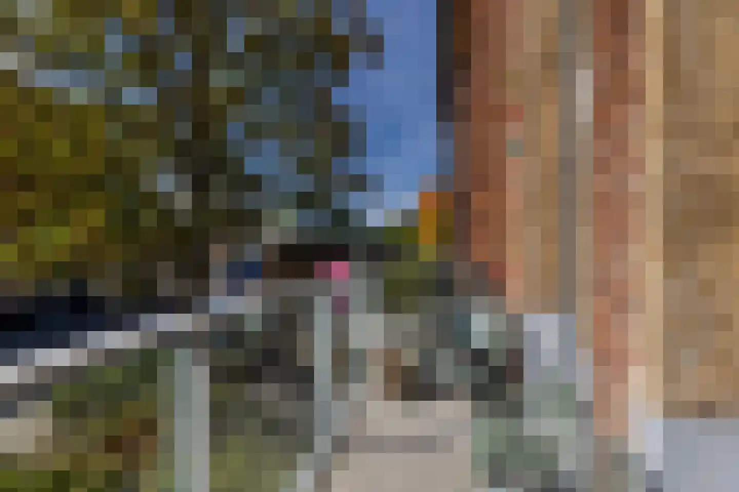 Burgemeester Baumannlaan 175 D Rotterdam thumbnail 41