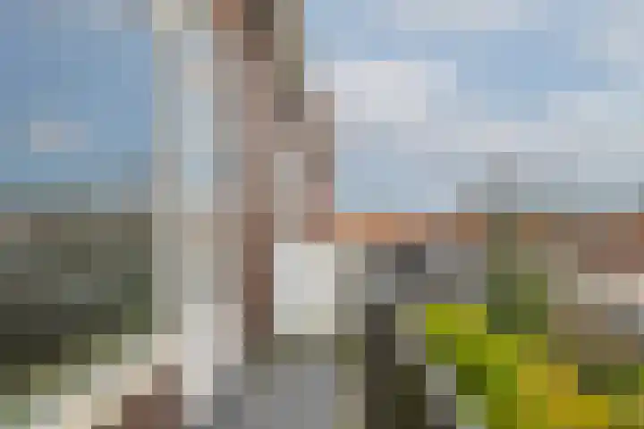 Burgemeester Baumannlaan 92 A Rotterdam thumbnail 21
