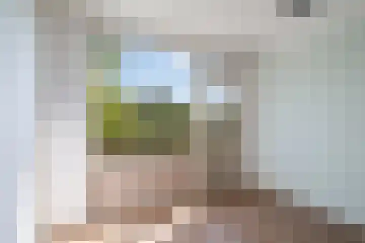 Burgemeester Baumannlaan 99 C Rotterdam thumbnail 17