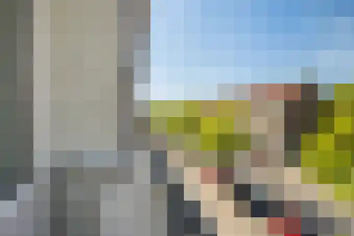 Burgemeester Baumannlaan 99 C Rotterdam thumbnail 21