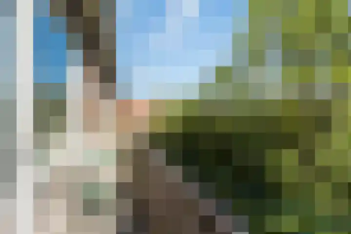 Burgemeester Baumannlaan 99 C Rotterdam thumbnail 24