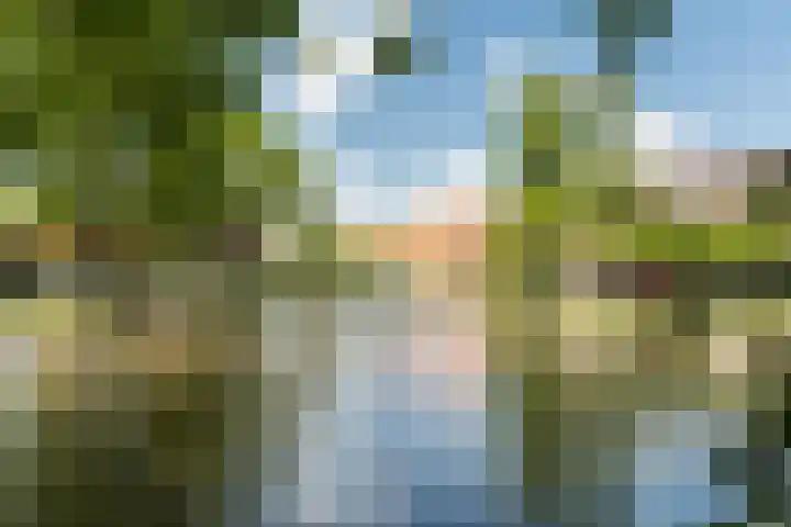 Burgemeester Baumannlaan 99 C Rotterdam thumbnail 26