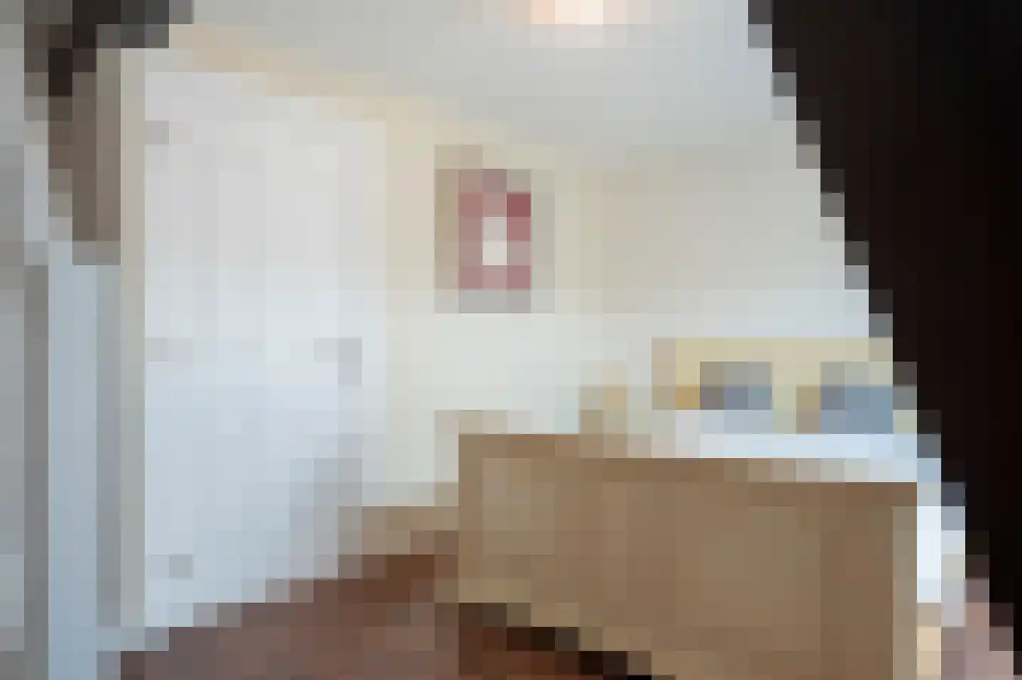 Burgemeester Beckersweg 53 Mheer thumbnail 33