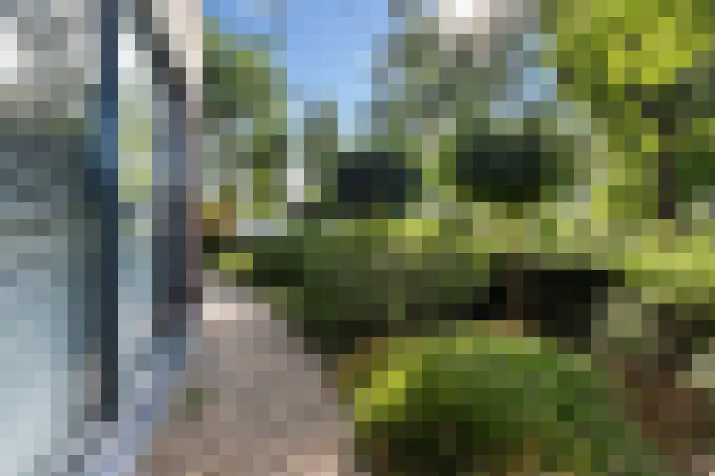 Burgemeester Beelaertspark 143 Dordrecht thumbnail 12