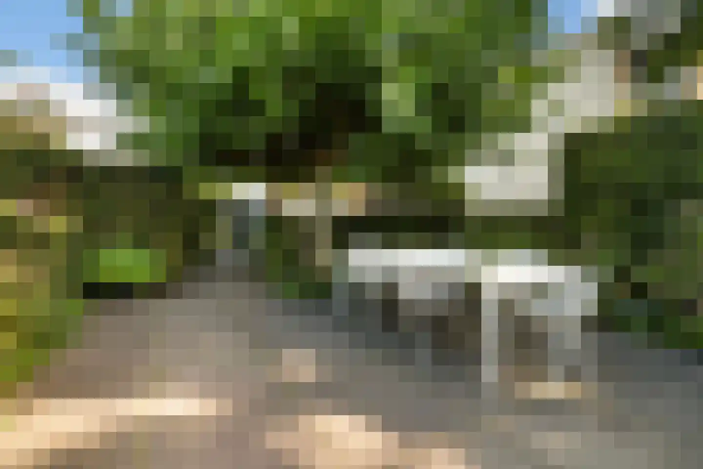 Burgemeester Beelaertspark 143 Dordrecht thumbnail 33