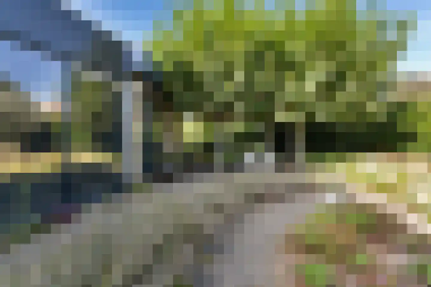 Burgemeester Beelaertspark 143 Dordrecht thumbnail 40