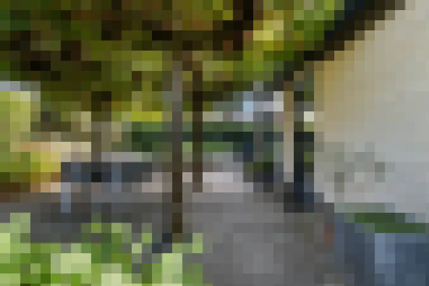 Burgemeester Beelaertspark 143 Dordrecht thumbnail 8