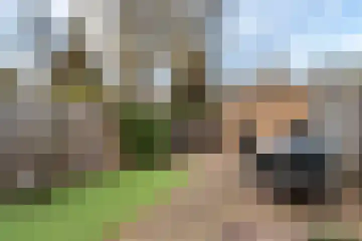 Burgemeester Beelaertspark 247 Dordrecht thumbnail 23