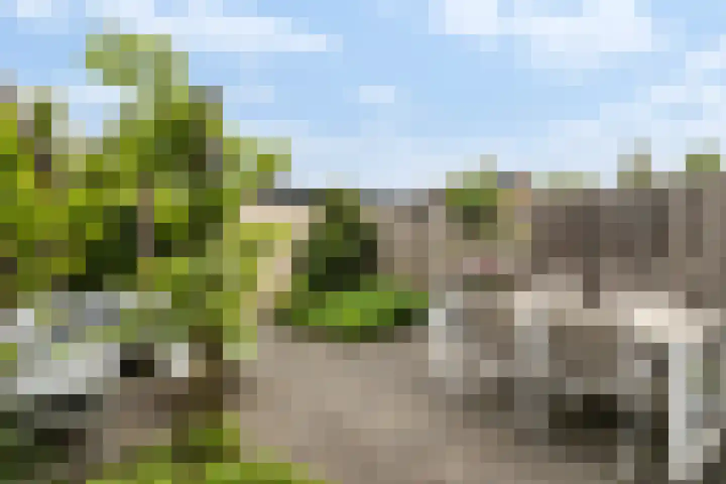 Burgemeester Beelaertspark 29 Dordrecht thumbnail 21