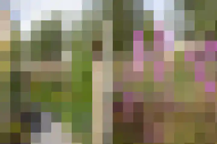 Burgemeester Beelaertspark 85 Dordrecht thumbnail 25