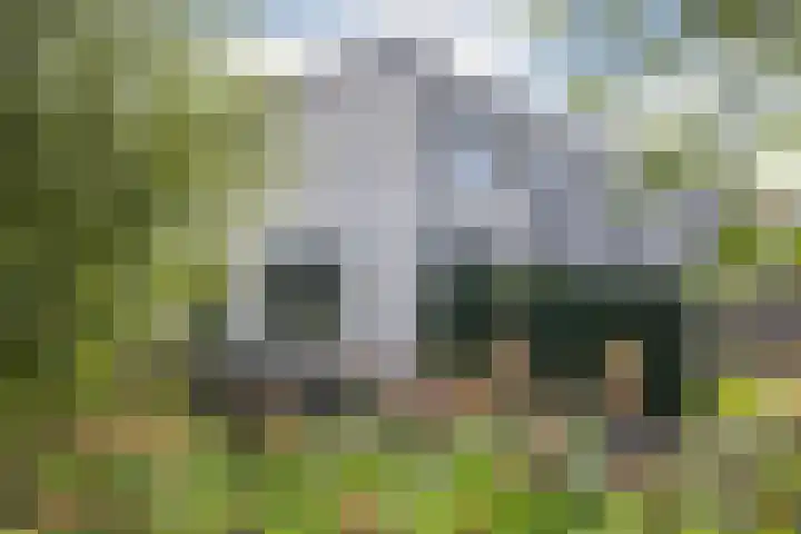 Burgemeester Beelaertspark 85 Dordrecht thumbnail 28