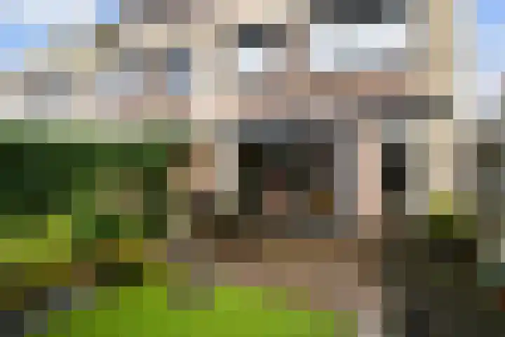 Burgemeester Beelaertspark 95 Dordrecht thumbnail 22