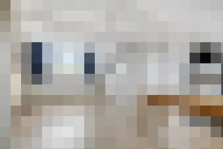 Burgemeester Beststraat 18 Berkhout thumbnail 19