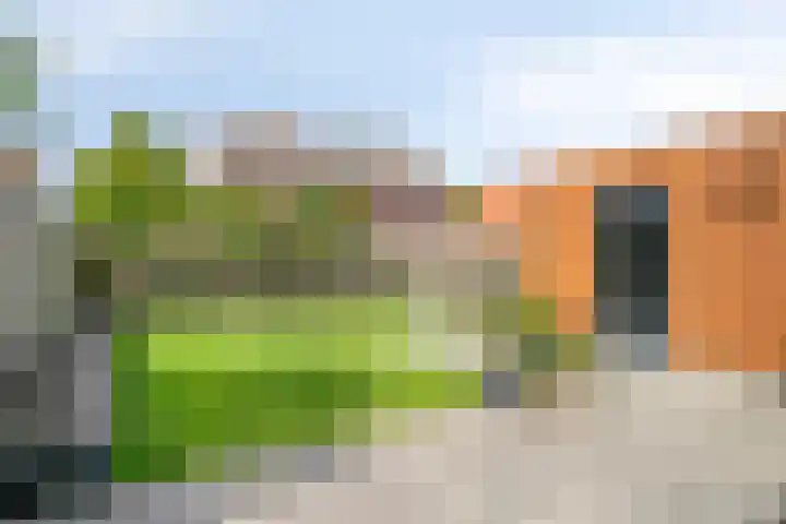 Burgemeester Beststraat 18 Berkhout thumbnail 20
