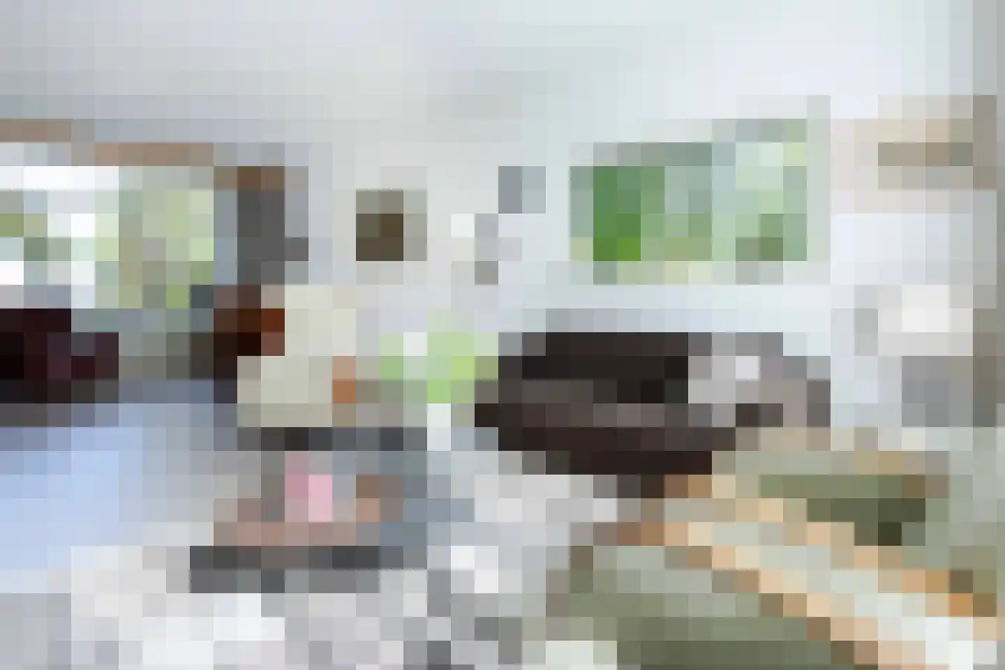 Burgemeester Binckhorststraat 53 Meerssen thumbnail 4