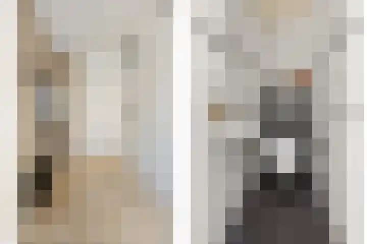 Burgemeester Blessinglaan 62 Ewijk thumbnail 5