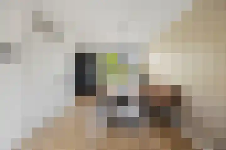 Burgemeester Blessinglaan 62 Ewijk thumbnail 6