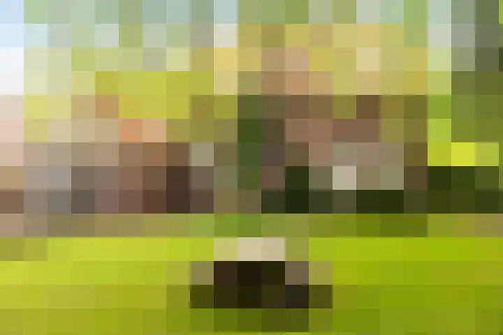 Burgemeester Bloemersstraat 32 Borculo thumbnail 23