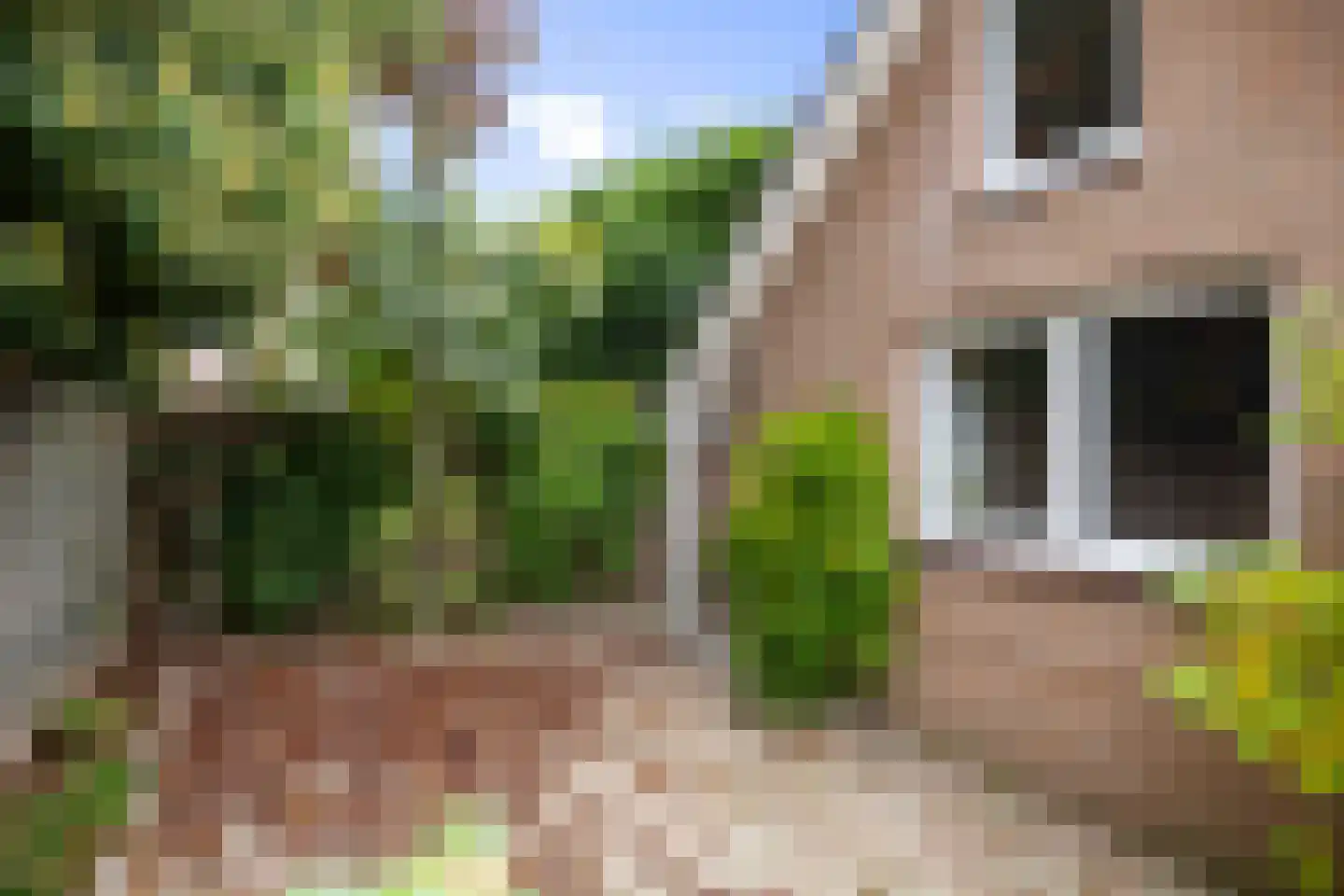 Burgemeester Bloemersstraat 59 Borculo thumbnail 37