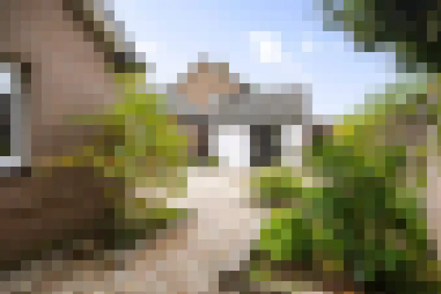 Burgemeester Bloemersstraat 59 Borculo thumbnail 38
