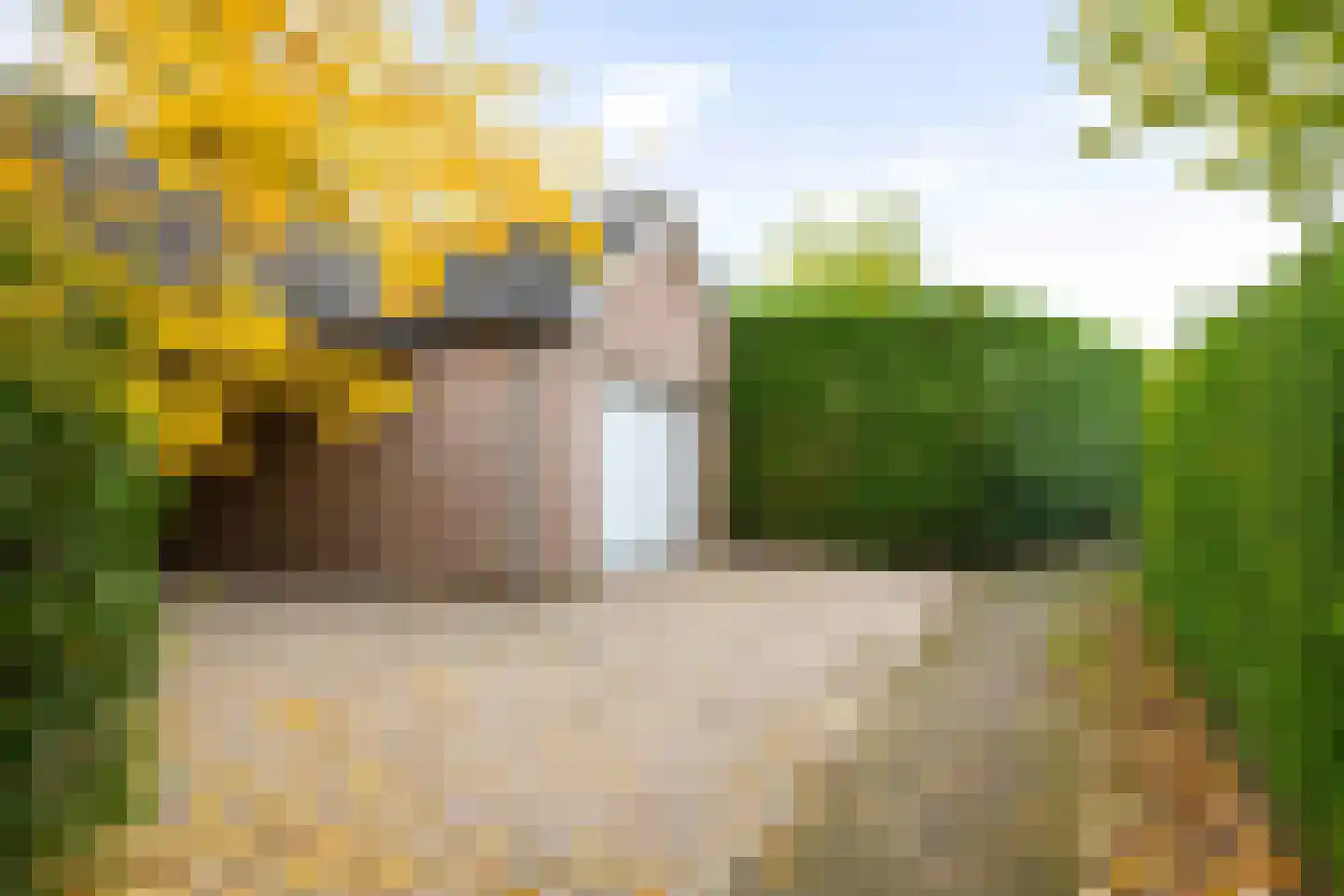Burgemeester Bloemersstraat 59 Borculo thumbnail 4
