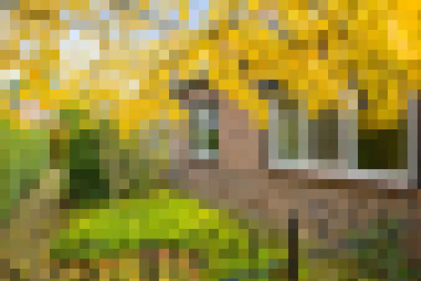 Burgemeester Bloemersstraat 59 Borculo thumbnail 40